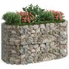 Virágcserepek és kaspók, vidaXL horganyzott vas gabion magaságyás 200x100x100 cm