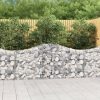 Virágcserepek és kaspók, vidaXL íves horganyzott vas gabion kosár 200x30x80/100 cm