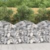 Virágcserepek és kaspók, vidaXL íves horganyzott vas gabion kosár 100x30x80/100 cm